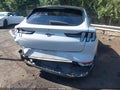 2021 Ford Mustang Mach-E — photo 16 of 18 | VIN 3FMTK3R73MMA36840
