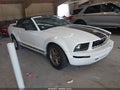 2005 Ford Mustang — photo 1 of 16 | VIN 1ZVFT84N855247361