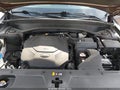 2021 Kia Telluride — photo 10 of 18 | VIN 5XYP3DHC3MG138420