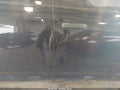 2014 Ram 1500 — photo 12 of 17 | VIN 1C6RR7KT6ES244414