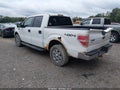 2010 Ford F-150 — photo 3 of 20 | VIN 1FTFW1EV1AFD76191