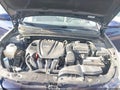 2013 Hyundai Sonata — photo 10 of 11 | VIN 5NPEB4AC2DH795433