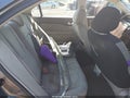 2011 Ford Fusion — photo 8 of 16 | VIN 3FAHP0HAXBR205815