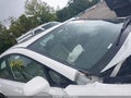 2011 Honda Civic — photo 19 of 21 | VIN 19XFA1F91BE020030