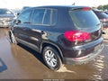 2013 Volkswagen Tiguan — photo 3 of 19 | VIN WVGAV3AX9DW573917