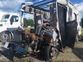 2022 Ford F-59 Commercial Stripped — photo 9 of 13 | VIN 1F65F5KN6N0A07748