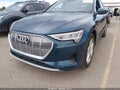 2019 Audi e-tron — photo 20 of 22 | VIN WA1VAAGE7KB014036