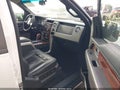 2010 Ford F-150 — photo 5 of 15 | VIN 1FTFW1EV4AKA21703