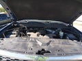 2015 Chevrolet Silverado 1500 — photo 10 of 19 | VIN 3GCUKSEC9FG398002
