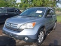 2009 Honda CR-V — photo 2 of 16 | VIN 5J6RE485X9L062463