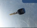 1999 Isuzu Rodeo — photo 11 of 13 | VIN 4S2CM58W5X4305900