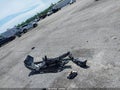 2024 Kia Sportage — photo 11 of 16 | VIN KNDPV3DF4R7246991