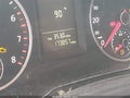 2010 Volkswagen Tiguan — photo 16 of 17 | VIN WVGAV7AX9AW001023