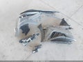 2023 Hyundai Sonata — photo 12 of 17 | VIN KMHL14JA6PA308315