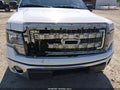 2014 Ford F-150 — photo 18 of 22 | VIN 1FTEW1CM6EKD28804