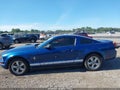 2008 Ford Mustang — photo 14 of 16 | VIN 1ZVHT80N485118973
