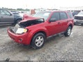 2012 Ford Escape — photo 2 of 11 | VIN 1FMCU0C75CKC37159