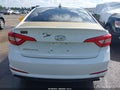 2016 Hyundai Sonata — photo 16 of 16 | VIN 5NPE24AFXGH264012