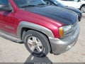 2002 Chevrolet Trailblazer — photo 6 of 12 | VIN 1GNDT13S322197403