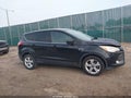 2016 Ford Escape — photo 14 of 17 | VIN 1FMCU0GX1GUA21961