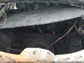 2025 Mazda CX-5 — photo 12 of 13 | VIN JM3KFBCM0S0686617