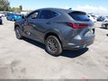 2026 Lexus NX 350h — photo 3 of 17 | VIN 2T2GKCEZ1TC077015