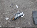 2024 Hyundai Tucson — photo 12 of 17 | VIN 5NMJACDE8RH406372