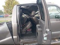 2012 Ford F-350 — photo 8 of 16 | VIN 1FT7W3BT3CEB37446