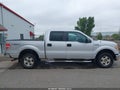 2013 Ford F-150 — photo 13 of 16 | VIN 1FTFW1EF9DKG30802