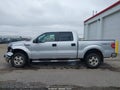 2013 Ford F-150 — photo 14 of 16 | VIN 1FTFW1EF9DKG30802
