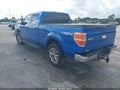 2010 Ford F-150 — photo 3 of 16 | VIN 1FTFW1EV8AKE66056