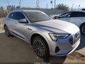2019 Audi e-tron — photo 1 of 18 | VIN WA1VAAGE8KB022596