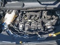2019 Ford Transit Connect — photo 10 of 16 | VIN NM0GE9F29K1423103