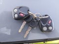 2004 Cadillac Escalade — photo 11 of 12 | VIN 1GYEC63T44R234126