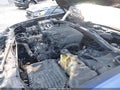 2019 Chrysler 300 — photo 10 of 10 | VIN 2C3CCAEG1KH536426