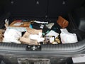 2022 Kia Soul — photo 20 of 20 | VIN KNDJ23AU8N7812114
