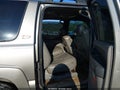 2003 Chevrolet Suburban 1500 — photo 8 of 16 | VIN 3GNFK16Z73G176907
