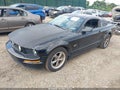 2005 Ford Mustang — photo 2 of 12 | VIN 1ZVFT82H755231228