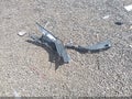2018 Honda Civic — photo 11 of 16 | VIN 2HGFC2F75JH568261