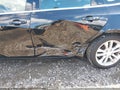 2016 Chevrolet Malibu — photo 18 of 19 | VIN 1G1ZE5STXGF179421