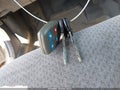 2000 Mazda Protege — photo 11 of 11 | VIN JM1BJ222XY0302536