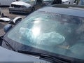 2024 Nissan Sentra — photo 18 of 19 | VIN 3N1AB8CV8RY273570