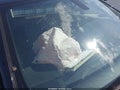 2023 Dodge Charger — photo 14 of 22 | VIN 2C3CDXAT7PH670867