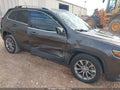 2020 Jeep Cherokee — photo 6 of 17 | VIN 1C4PJLLB0LD528614