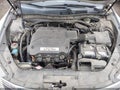 2010 Honda Accord Crosstour — photo 10 of 11 | VIN 5J6TF1H51AL010094