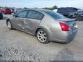 2007 Nissan Maxima — photo 3 of 15 | VIN 1N4BA41E07C825347