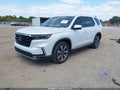 2024 Honda Pilot — photo 2 of 16 | VIN 5FNYG1H86RB000971
