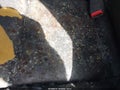 2007 Acura TL — photo 12 of 17 | VIN 19UUA66267A036789