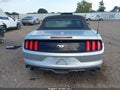 2016 Ford Mustang — photo 17 of 17 | VIN 1FATP8UH3G5217441