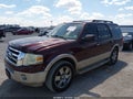 2010 Ford Expedition — photo 13 of 13 | VIN 1FMJU1H53AEB70383